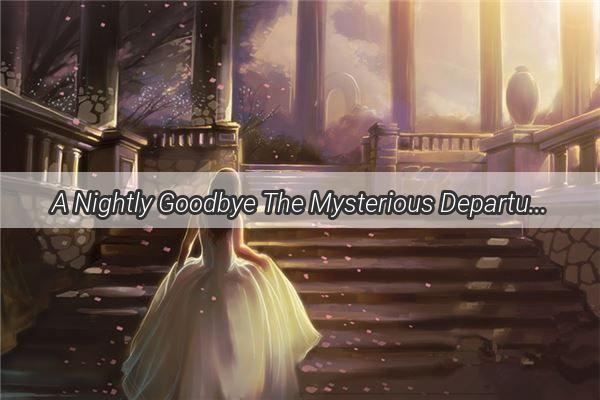 A Nightly Goodbye The Mysterious Departure of an Unknown Elder in My Dreams